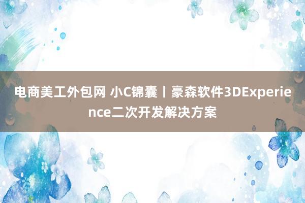 电商美工外包网 小C锦囊丨豪森软件3DExperience二次开发解决方案